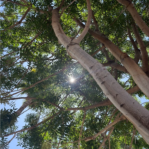 Meet your Posher, ♑️ - Picture 2 of 2